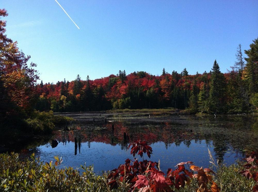 Glenview Cottages Sault Ste. Marie Ngoại thất bức ảnh