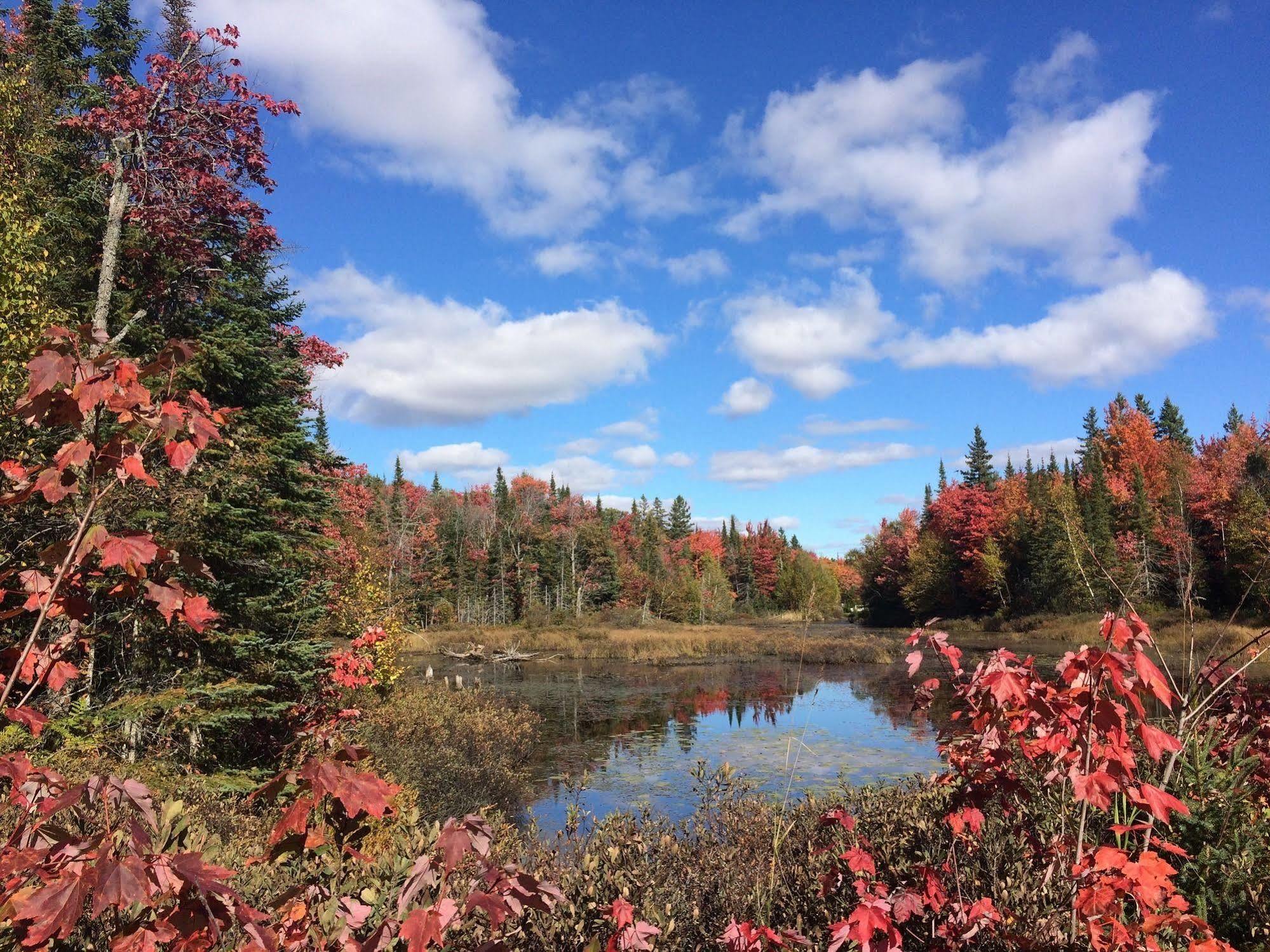 Glenview Cottages Sault Ste. Marie Ngoại thất bức ảnh